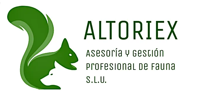 LOGO ALTORIEX_bueno