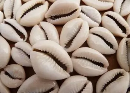 Screenshot 23 7 2025 104959 www bing com