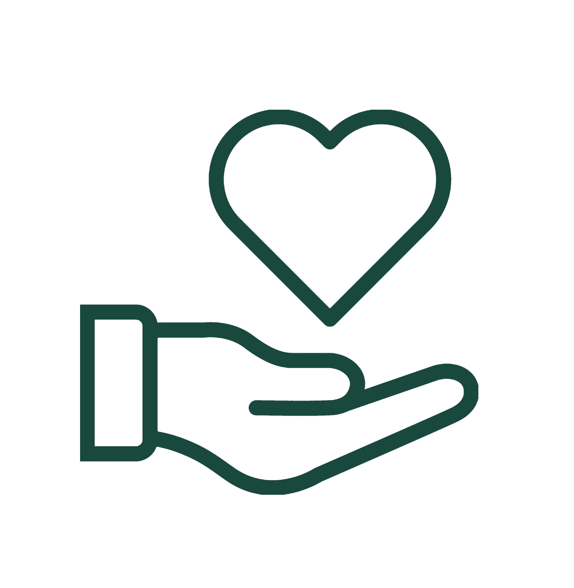 donate icon