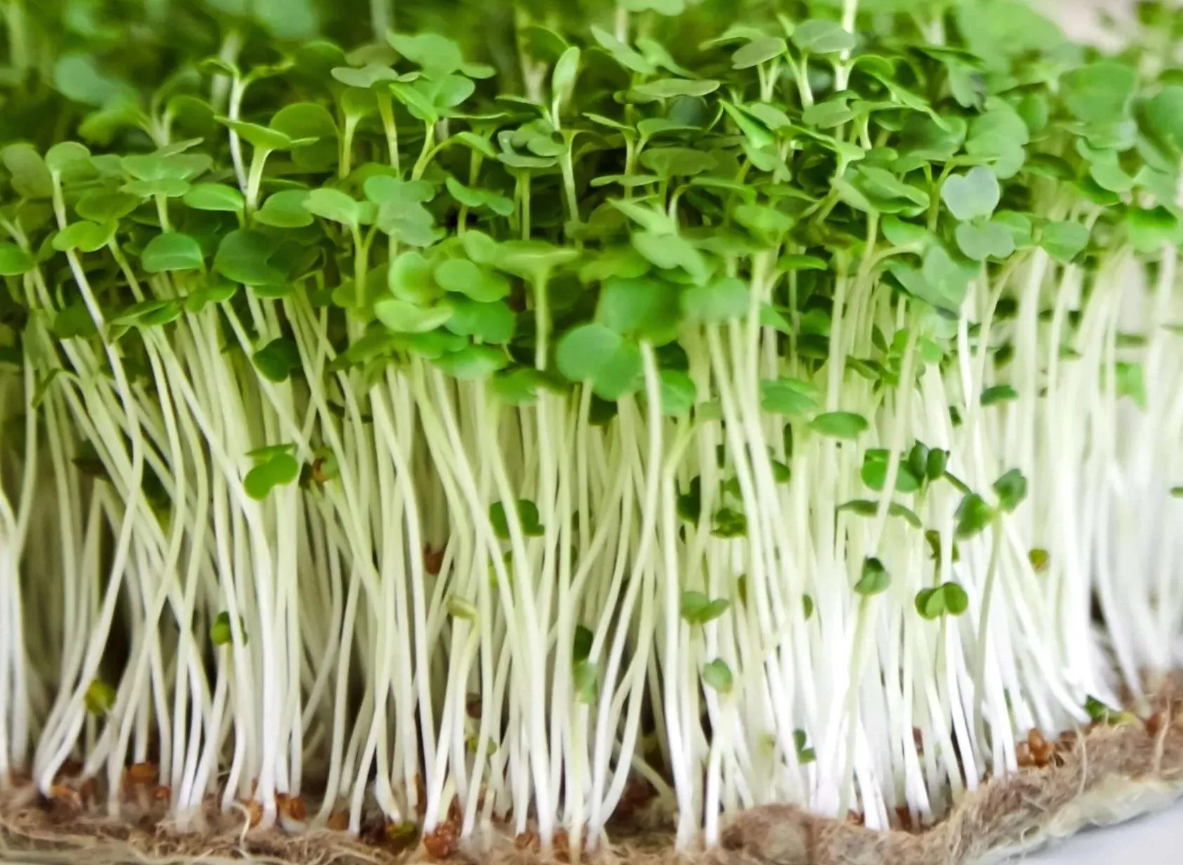 img 1668452972957 b1fc3855 a6ca 439e 9f54 e746b3ebed38