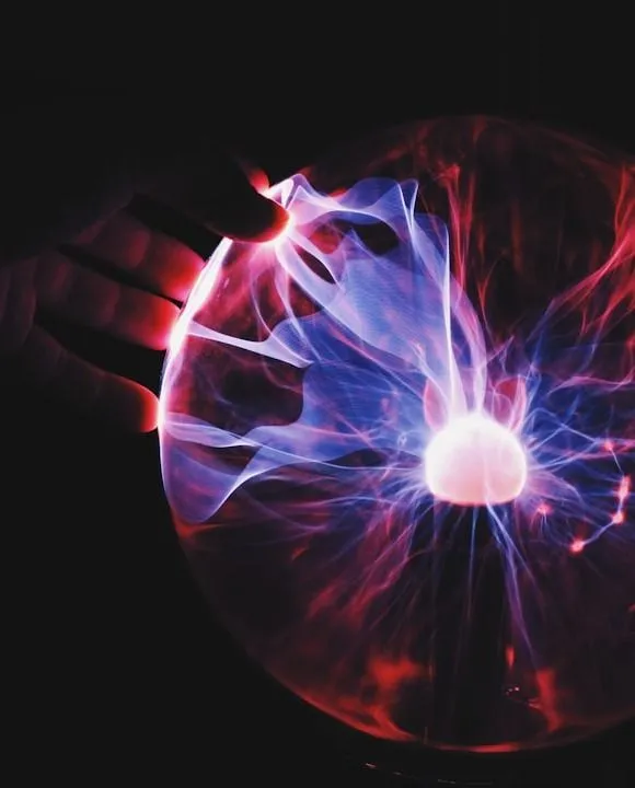 photo 1496065187959 7f07b8353c55